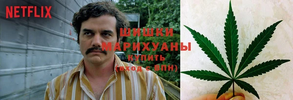 амф Новокубанск