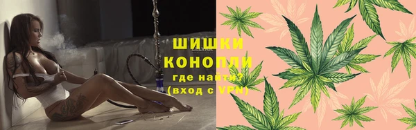 дмт Новозыбков