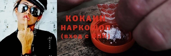 дмт Новозыбков