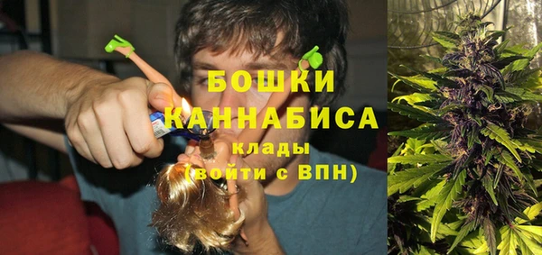 дмт Новозыбков