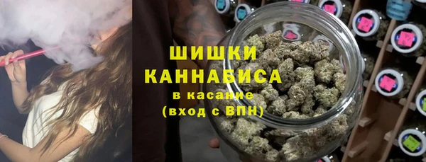 амф Новокубанск