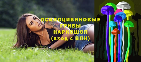 ALPHA PVP Новодвинск