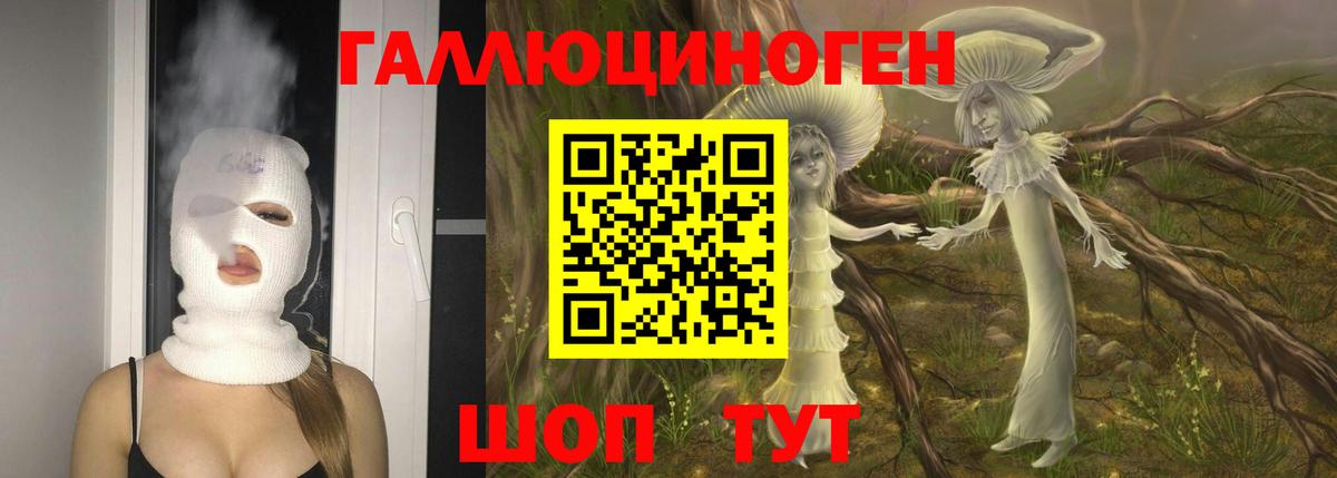 Галлюциногенные грибы MAGIC MUSHROOMS  Вход с VPN  Отрадный 